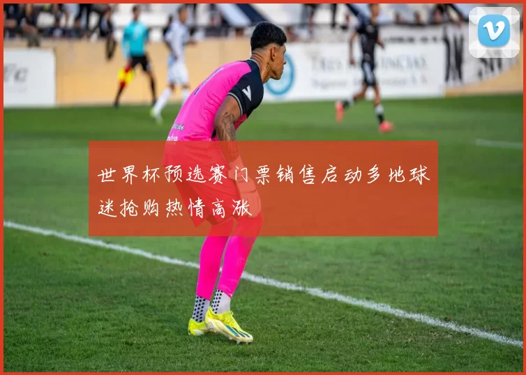 世界杯预选赛门票销售启动多地球迷抢购热情高涨