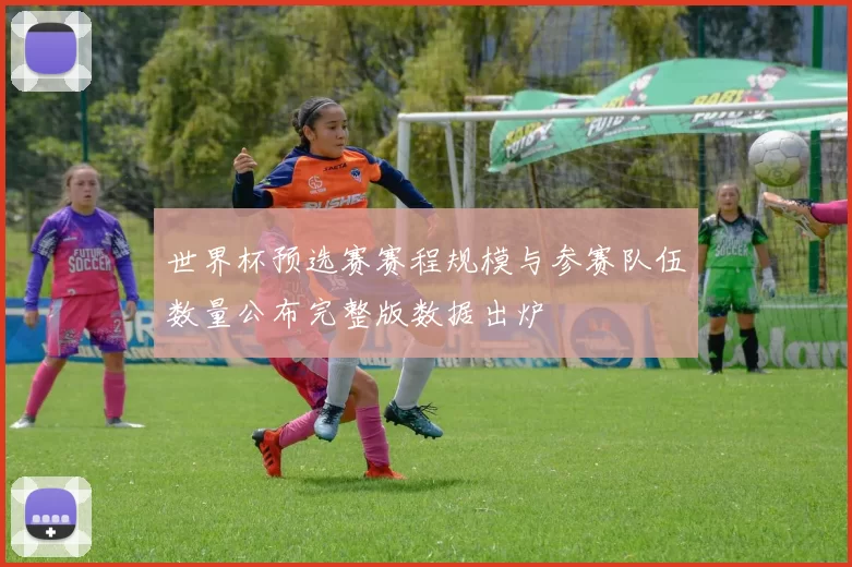 世界杯预选赛赛程规模与参赛队伍数量公布完整版数据出炉