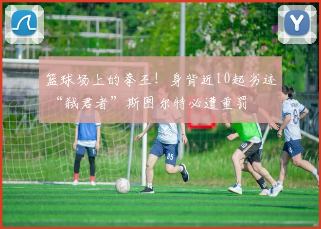 篮球场上的拳王！身背近10起劣迹 “弑君者”斯图尔特必遭重罚