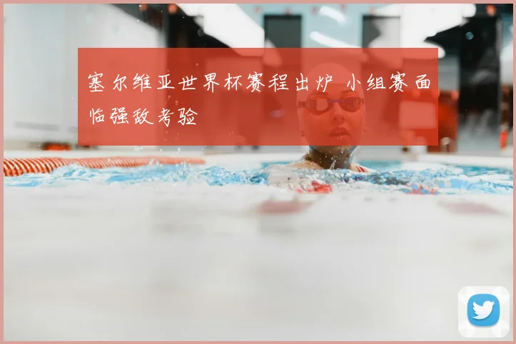 塞尔维亚世界杯赛程出炉 小组赛面临强敌考验