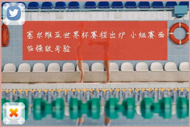 塞尔维亚世界杯赛程出炉 小组赛面临强敌考验